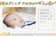 おまかせ♪ オーダーメイドでプロフィールムービーおつくりします ウエディング用 プロフィールムービー 生い立ちムービー 制作権095002