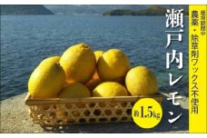 レモン【先行受付】【2025年12月以降発送】【栽培期間中農薬・除草剤不使用】離島 佐木島！レモン 約1.5kg   広島 三原 佐木島 鷺島みかんじま 017007
