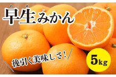 みかん【先行受付】【2025年11月以降発送】甘いだけじゃない！甘みと酸味の 早生みかん ＜約5kg＞ 広島 三原 佐木島 鷺島みかんじま 017014 