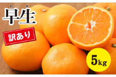 訳あり みかん 【先行受付】【2025年11月以降発送】甘いだけじゃない！ 甘みと酸味の 訳あり早生みかん ＜約5kg＞ 広島 三原 佐木島 鷺島みかんじま 017015