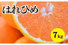 みかん【先行受付】【2026年1月以降発送】 爽やかな香りと甘さに満足！ 新品種 はれひめ ＜約7kg＞ 広島 三原 佐木島 鷺島みかんじま 017019