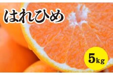 みかん【先行受付】【2026年1月以降発送】 爽やかな香りと甘さに満足！ 新品種 はれひめ ＜約5kg＞ 広島 三原 佐木島 鷺島みかんじま 017018