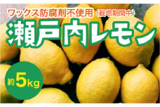 瀬戸内 レモン 約5kg【栽培期間中防腐剤ワックス不使用】【先行受付】【2025年12月以降発送】レモン 国産 佐木島 三原 広島 フルーツ 果物 柑橘 柑橘類 檸檬 017031
