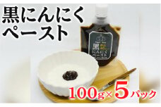 黒にんにくペースト 100g×5パック セット (1) 黒にんにく にんにく 調味料 118001