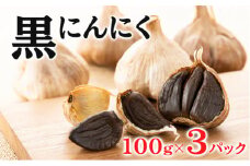 黒にんにく 100g×3パック セット (2) にんにく 加工品 118002