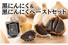 黒にんにく 200g×2パック 黒にんにくペースト 100g×1パック セット (5) 調味料 にんにく 118005
