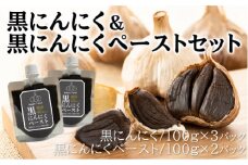黒にんにく 100g×3パック 黒にんにくペースト 100g×2パック セット (4) 調味料 にんにく 118004