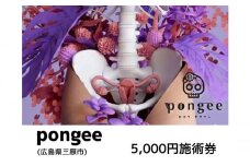 チケット 広島 pongee 美容整骨 施術券 5,000円分 フェムケア 矯正 骨盤矯正 美容 サロン 5000円 広島県 三原市 129002