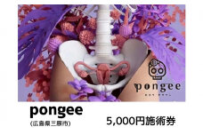チケット 広島 pongee 美容整骨 施術券 5,000円分 フェムケア 矯正 骨盤矯正 美容 サロン 5000円 広島県 三原市 129002