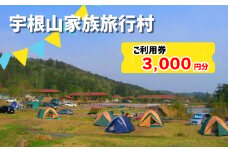 宇根山家族旅行村（キャンプ場） 宇根山天文台 ご利用券 3,000円分 キャンプ 宿泊 バーベキュー 星空 広島県三原市 131001