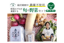 【栽培期間中無農薬】野菜のプロが選ぶ. 旬の野菜・卵・天然塩  全５〜７品詰め合わせセット（レシピ付き） 野菜 塩 卵 たまご 有機農家  野菜セット オーガニック レシピ 広島県 三原市 佐木島 083001