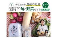 【栽培期間中無農薬】野菜のプロが選ぶ. 旬の野菜・卵・天然塩  全５〜７品詰め合わせセット（レシピ付き） 野菜 塩 卵 たまご 有機農家  野菜セット オーガニック レシピ 広島県 三原市 佐木島 083001