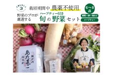 【栽培期間中無農薬】野菜のプロが選ぶ. 旬の野菜・卵・天然塩・ハーブティー  全６〜８品詰め合わせセット（レシピ付き） 野菜 塩 卵 たまご 有機農家  野菜セット オーガニック レシピ 広島県 三原市 佐木島 083002