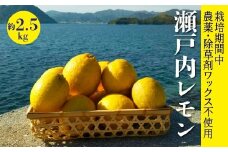 レモン【先行受付】【2025年12月以降発送】【栽培期間中 農薬・除草剤不使用】離島 佐木島！レモン 約2.5kg   広島 三原 佐木島 鷺島みかんじま 017037