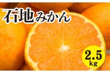 みかん 柑橘【先行受付】【2025年12月以降発送】糖度が高く濃厚！ 石地みかん ＜約2.5kg＞ 広島 三原 佐木島 鷺島みかんじま 017041