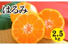 みかん 柑橘 【先行受付】【2026年2月以降発送】甘くてジューシー！瀬戸内さぎしまのはるみ ＜約2.5kg＞ 広島 三原 佐木島 鷺島みかんじま みかん  017043