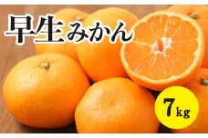 みかん【先行受付】【2025年11月以降発送】甘いだけじゃない！ 甘みと酸味の 早生みかん ＜約7kg＞ 広島 三原 佐木島 鷺島みかんじま 017040