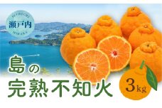 【先行受付】瀬戸内 島の不知火 約3kg 白鷺農園《2026年2月下旬～4月上旬頃出荷》 デコポン と同品種  旬 柑橘 フルーツ 果物 しらぬい デコポン 贈答 不知火 164001