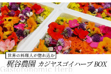 世界の料理人が惚れ込む、広島・梶谷農園のハーブ カジヤスゴイハーブBOX ミシュラン 三つ星 マイクロハーブ　168002