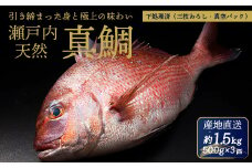 瀬戸内産 天然真鯛 約1.5kg（500g×3匹/）【調理が楽ちん！三枚おろし・真空パックでお届け！】鯛 天然鯛 真鯛 天然 鮮魚 下処理済 三枚おろし 瀬戸内 広島県 三原市　154002