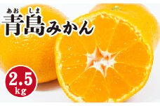 みかん【先行受付】【2026年1月末以降発送】 濃厚な甘さが特徴！青島みかん ＜約2.5kg＞ 広島 三原 佐木島 鷺島みかんじま 017053