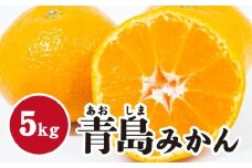 みかん【先行受付】【2026年1月末以降発送】 濃厚な甘さが特徴！青島みかん ＜約5kg＞ 広島 三原 佐木島 鷺島みかんじま 017054