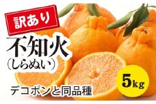 みかん 柑橘【先行受付】【2026年3月以降発送】甘さ抜群訳ありしらぬい！デコちゃん【デコポンと同品種】＜約5kg＞ 広島 三原 佐木島 鷺島みかんじま 017048 
