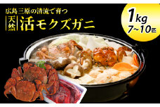 広島県産　天然活きモクズガニ（オス・メス混合/1kg） 天然 サイズ混ざり 国産  藻屑蟹 川蟹 川ガニ 上海蟹  唐揚げ 味噌汁 蒸し 茹で ボイル レシピ付き 170001