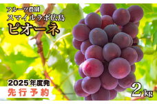 【先行受付】ピオーネ2kg ブドウ 葡萄 ピオーネ 新鮮 産地直送 広島県三原市 【2025年9月頃より順次発送】059002