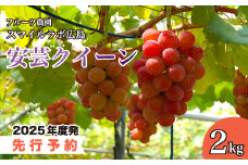 【先行受付】安芸クイーン2kg ブドウ 葡萄 安芸クイーン 新鮮 産地直送 広島県三原市【2025年8月下旬以降順次発送】 059006