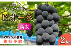 【先行受付】高妻2kg（ピオーネ）ブドウ 葡萄 高妻 新鮮 産地直送 広島県三原市【2025年9月頃より順次発送】 059004