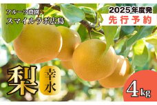 【先行受付】幸水（こうすい）4kg 梨 ナシ なし 新鮮 産地直送 広島県三原市【2025年8月中旬以降順次発送】 059009