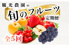 【フルーツ定期便全5回】いちご さくらんぼ 梨 ぶどう りんご 詰め合わせ 採れたて 新鮮 産地直送 果物 広島県 三原市 059014