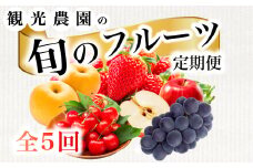 【フルーツ定期便全5回】豪華フルーツ いちご450g,さくらんぼ500g,梨2kg,ぶどう2kg,りんご2kg 詰め合わせ 採れたて 新鮮 産地直送 広島県 三原市 059021