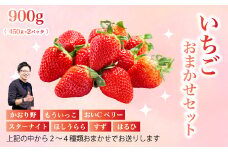 フルーツ農園のおまかせ【いちご】 450g×2パック イチゴ 苺 フルーツ 果物 広島県 三原市 059023