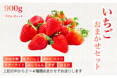 フルーツ農園のおまかせ【いちご】 450g×2パック イチゴ 苺 フルーツ 果物 広島県 三原市 059023
