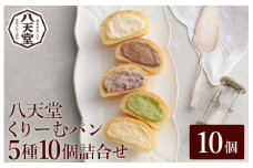 【八天堂】とろけるくりーむパン 10個詰合せ (5種×2個) クリームパン 菓子パン スイーツ カスタード 生クリーム チョコレート 抹茶 フローズン 冷凍 ギフト すいーつ 015014