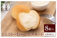 【八天堂】ミニくりーむパンカスタード 8個入 お菓子 おやつ デザート スイーツ 冷凍 015028