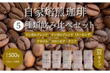 【 自家焙煎　コーヒー豆500g（100g×5種）】飲み比べセット 珈琲 ブレンド 194004