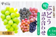 【先行受付】厳選！旬のぶどう詰め合わせ約2kg（4～5房） 2025年9月上旬から順次発送 種なし シャインマスカット 品種 農園おまかせ ピオーネ BKシードレス 安芸クイーン クイーンニーナ スカーレット マスカサーティーン お楽しみ 人気 葡萄 贈答 お中元 プレゼント 厳選 フルーツ 205002