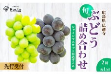 【先行受付】厳選！旬のぶどう詰め合わせ約1kg（2房） 2025年9月上旬から順次発送 種なし シャインマスカット 品種 農園おまかせ ピオーネ BKシードレス 安芸クイーン クイーンニーナ スカーレット お楽しみ 人気 葡萄 贈答 お中元 プレゼント 厳選 フルーツ 205001