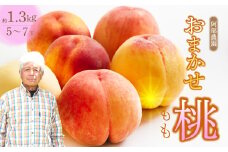 阿部農園 おまかせ 桃 約1.3kg 《2025年７月下旬から順次発送》 フルーツ 果物 くだもの 果実 夏 旬のフルーツ 旬の果物 もも モモ ピーチ 食品 オリジナル品種 阿部水蜜 あかつき 白鳳 はくほう なつおとめ みさか白鳳 白麗 広島県 三原市 216001