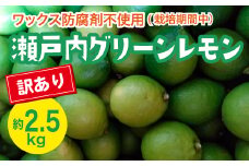 瀬戸内 訳ありグリーンレモン 約2.5kg【栽培期間中防腐剤ワックス不使用】【先行受付】【2025年10月以降発送】レモン 国産 佐木島 三原 広島 フルーツ 果物 柑橘 柑橘類 檸檬 訳あり 017058