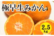 みかん 柑橘【先行受付】【2025年10月中旬以降発送】 甘さと酸味が絶妙！極早生 みかん 約2.5kg 三原 佐木島 017038