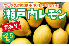 瀬戸内 訳ありレモン 約2.5kg【栽培期間中防腐剤ワックス不使用】【先行受付】【2025年12月以降発送】レモン 国産 佐木島 三原 広島 フルーツ 果物 柑橘 柑橘類 檸檬 訳あり 017059