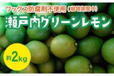 瀬戸内 グリーンレモン 約２kg【栽培期間中防腐剤ワックス不使用】【先行受付】【2025年10月以降発送】レモン 国産 佐木島 三原 広島 フルーツ 果物 柑橘 柑橘類 檸檬 017057