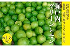 レモン【先行受付】【2025年10月以降発送】【栽培期間中 農薬・除草剤不使用】離島 佐木島！グリーンレモン 約1.5kg   広島 三原 佐木島 鷺島みかんじま 017060
