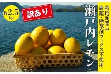 レモン【先行受付】【2025年12月以降発送】【栽培期間中 農薬・除草剤不使用】離島 佐木島！訳ありレモン 約2.5kg   広島 三原 佐木島 鷺島みかんじま 017063