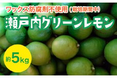 瀬戸内 グリーンレモン 約5kg【栽培期間中防腐剤ワックス不使用】【先行受付】【2025年10月以降発送】レモン 国産 佐木島 三原 広島 フルーツ 果物 柑橘 柑橘類 檸檬 017056