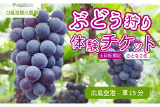 【白龍湖観光農園】《土日祝限定》ぶどう狩り体験チケット おとな2名 果物 くだもの フルーツ 202003	